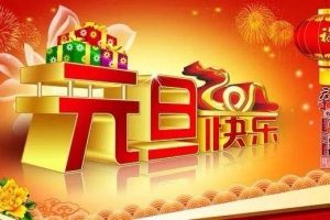 杭州宝格丽生物有限公司恭祝大家元旦快乐，万事如意！